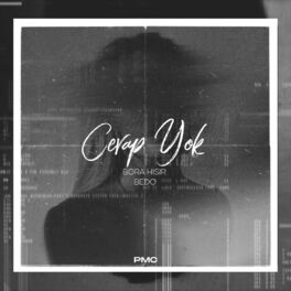 Album cover of Cevap Yok