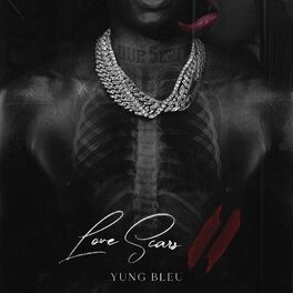 Album cover of Love Scars II