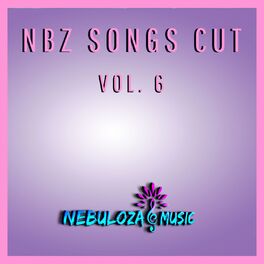 Album cover of Nbz Songs Cut Vol. 6