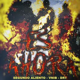 Album cover of Es Ahora (feat. Vnib & DRT)