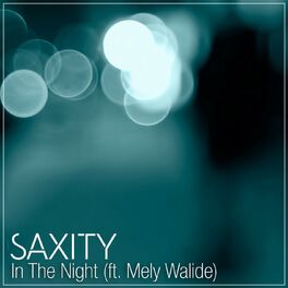 Album cover of In The Night (feat. Mely Walide)