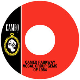 Album cover of Cameo Parkway Vocal Group Gems Of 1964