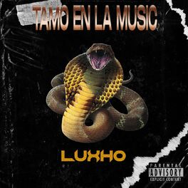 Album cover of Tamos En La Music