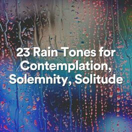 Album cover of 23 Rain Tones for Contemplation, Solemnity, Solitude