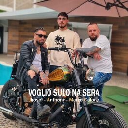 Album cover of Voglio Sulo Na Sera