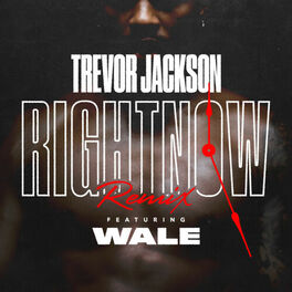 Album cover of Right Now (Remix) [feat. Wale]