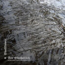 Album cover of A Collaboration