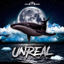 Album cover of Unreal
