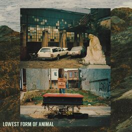 Album cover of Lowest Form Of Animal