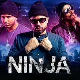 Album cover of Ninja