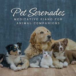 Album cover of Tranquil Pet Serenades: Meditative Piano for Animal Companions