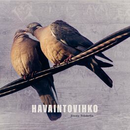 Album cover of Havaintovihko