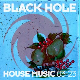 Album cover of Black Hole House Music 03-23