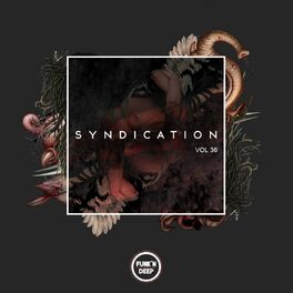 Album cover of Syndication, Vol. 36
