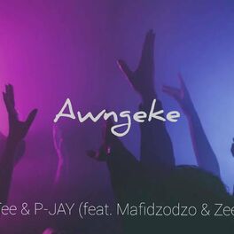Album cover of Aw'ngeke