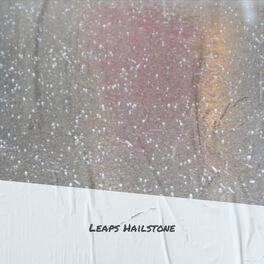 Album cover of Leaps Hailstone