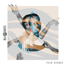 Album cover of Pelo Reggae
