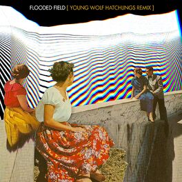Album cover of Flooded Field (Young Wolf Hatchlings Remix)