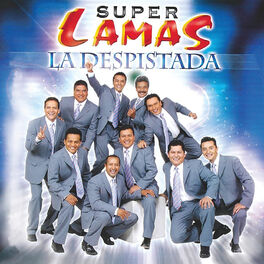 Album cover of La Despistada