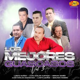 Album cover of Los Mejores Guascasos, Vol. 3