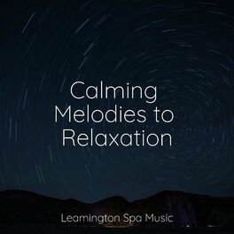 Album cover of Calming Melodies to Relaxation