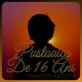 Album cover of Pustoaico De 16 Ani