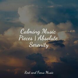 Album cover of Calming Music Pieces | Absolute Serenity