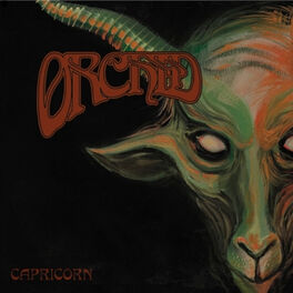 Album cover of Capricorn