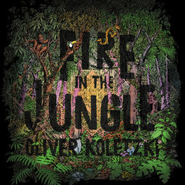 Album cover of Fire in the Jungle