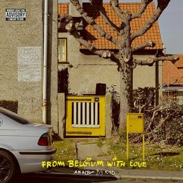 Album cover of From Belgium With Love