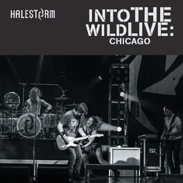 Album cover of Into the Wild Live: Chicago