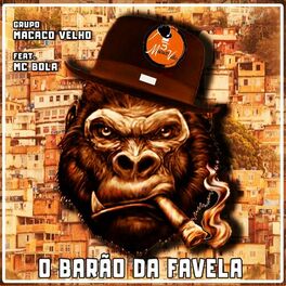 Album cover of O Barão da Favela