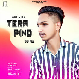 Album cover of Tera Pind
