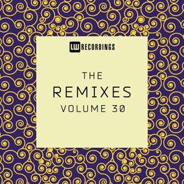 Album cover of The Remixes, Vol. 30