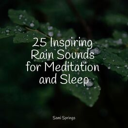 Album cover of 25 Inspiring Rain Sounds for Meditation and Sleep