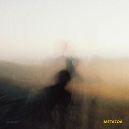 Album cover of Metazoa