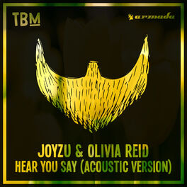 Album cover of Hear You Say (Acoustic Version)