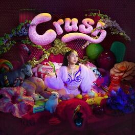 Album cover of Crush