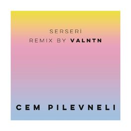 Album cover of Serseri (VALNTN Remix)
