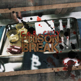 Album cover of Prison Break