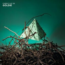 Album cover of FABRICLIVE 58: Goldie