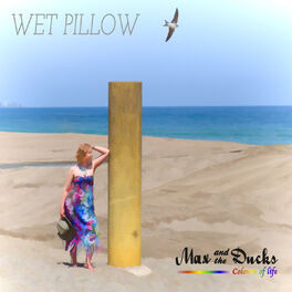 Album cover of Wet Pillow