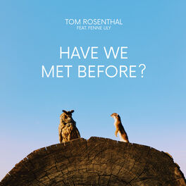Album cover of Have We Met Before?