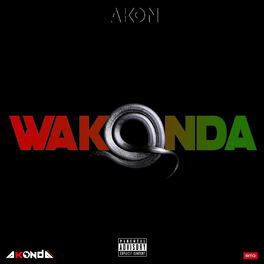 Album cover of Wakonda