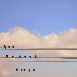 Album cover of Синоптики