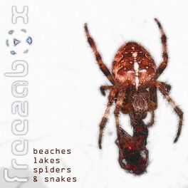 Album cover of Beaches Lakes Spiders & Snakes