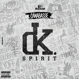 Album cover of Dk Spirit