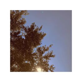 Album cover of Sleep Walking