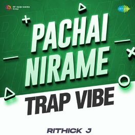 Album cover of Pachai Nirame (From 