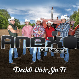 Album cover of Decidi Vivir Sin Ti